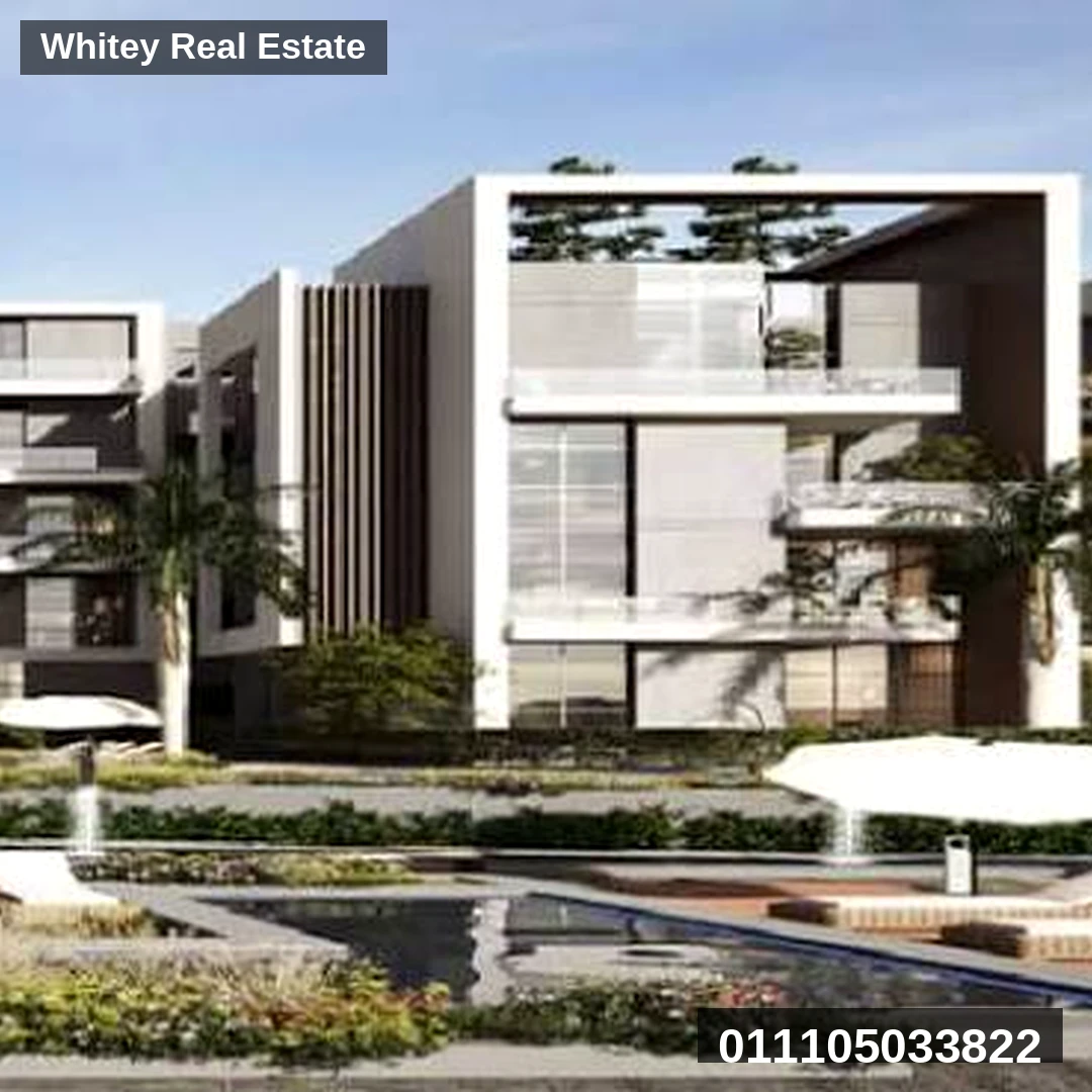 Whitey_Project_Image_1