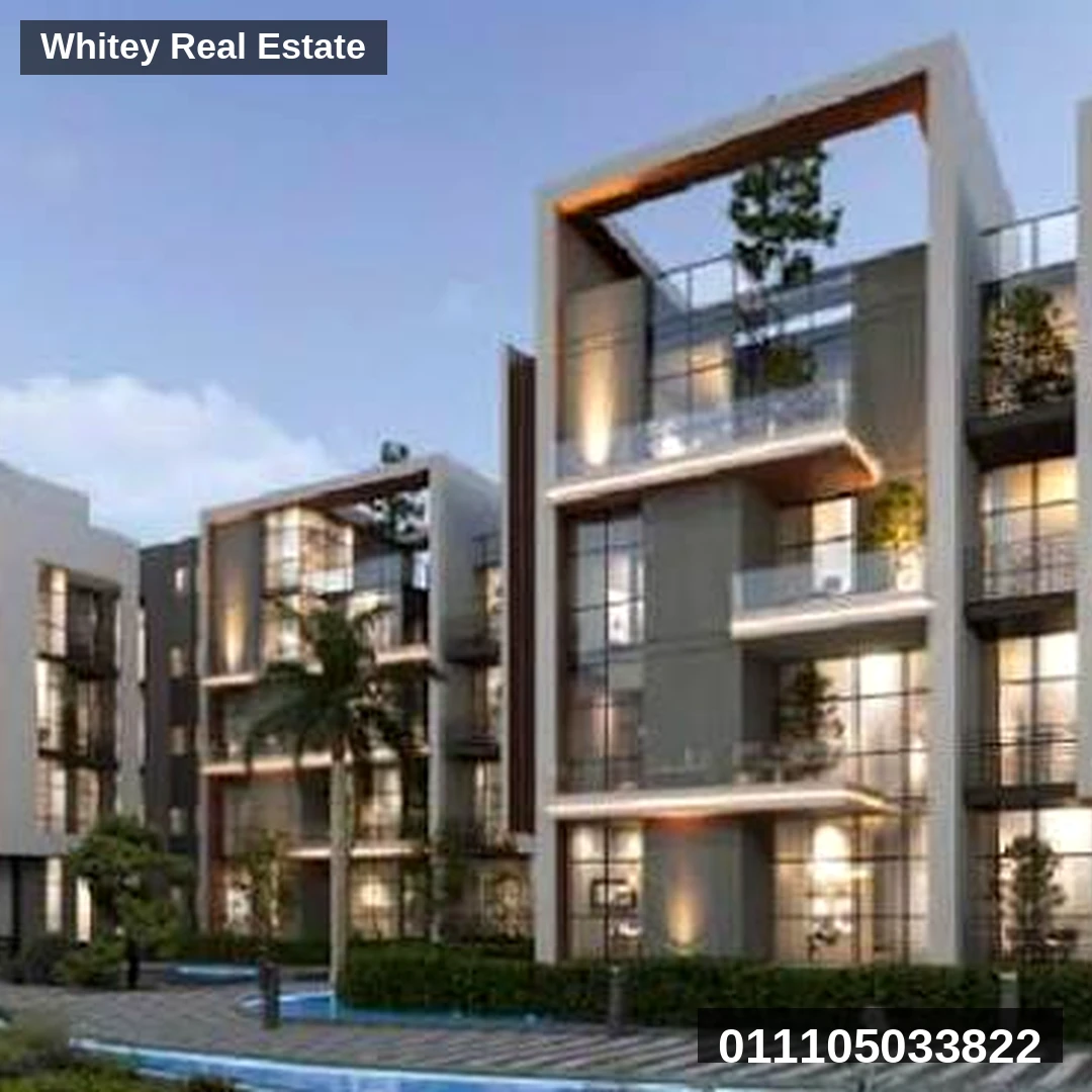 Whitey_Project_Image_2