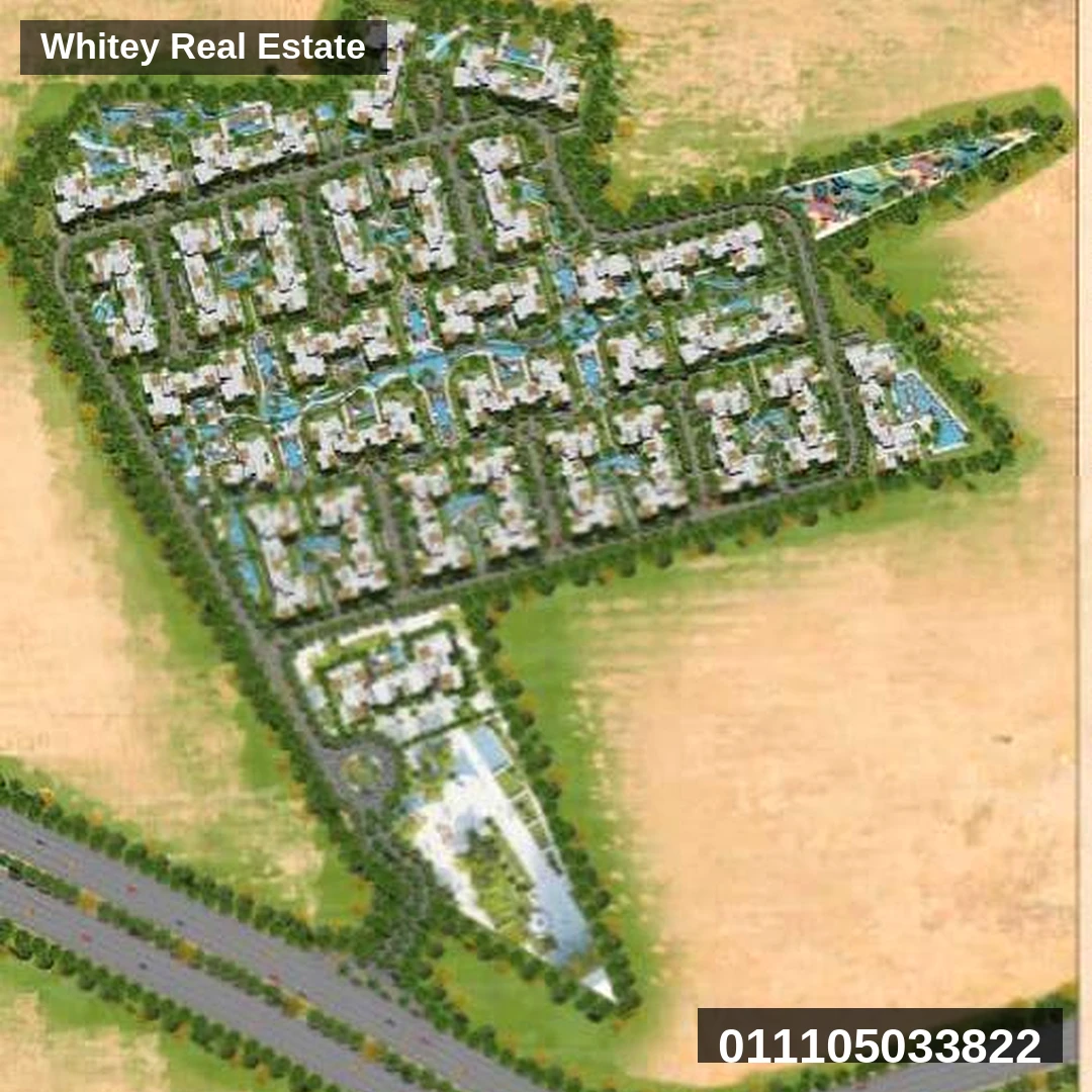 Whitey_Project_Image_3