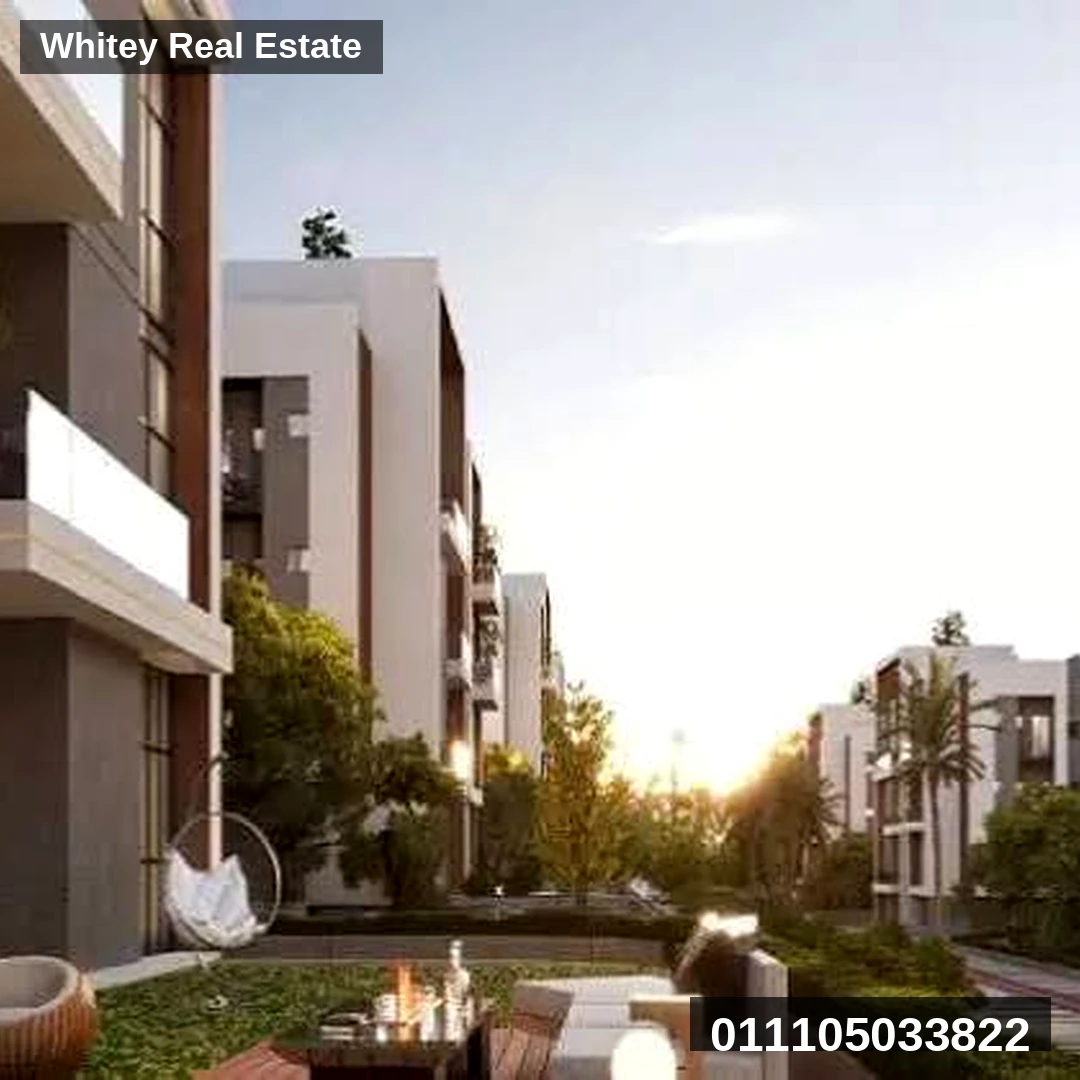 Whitey_Project_Image_4