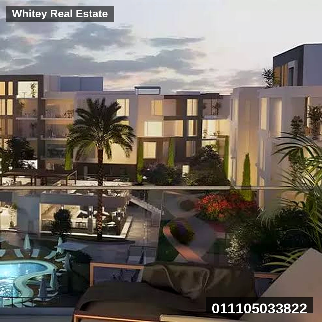 Whitey_Project_Image_5