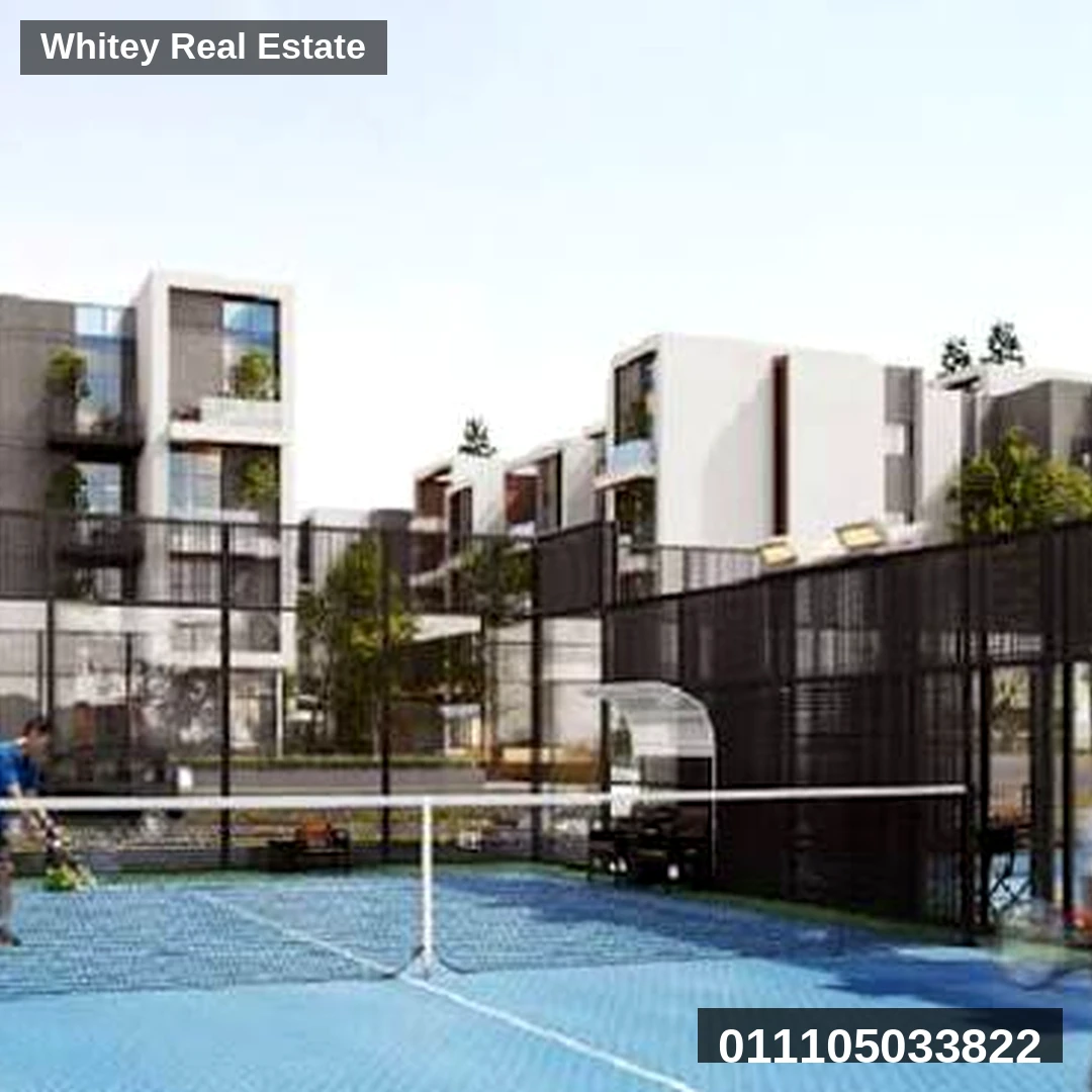 Whitey_Project_Image_6