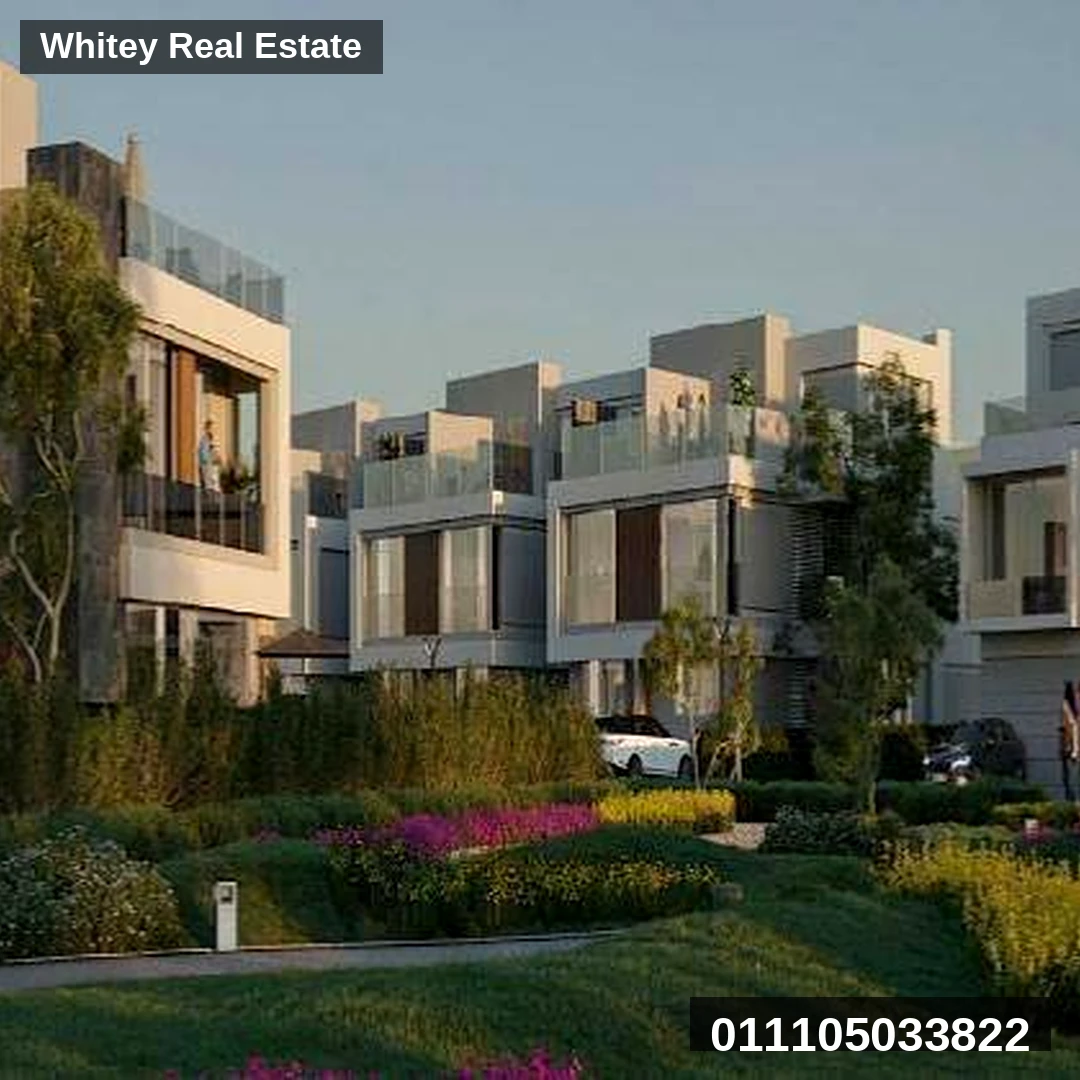 Whitey_Project_Image_8
