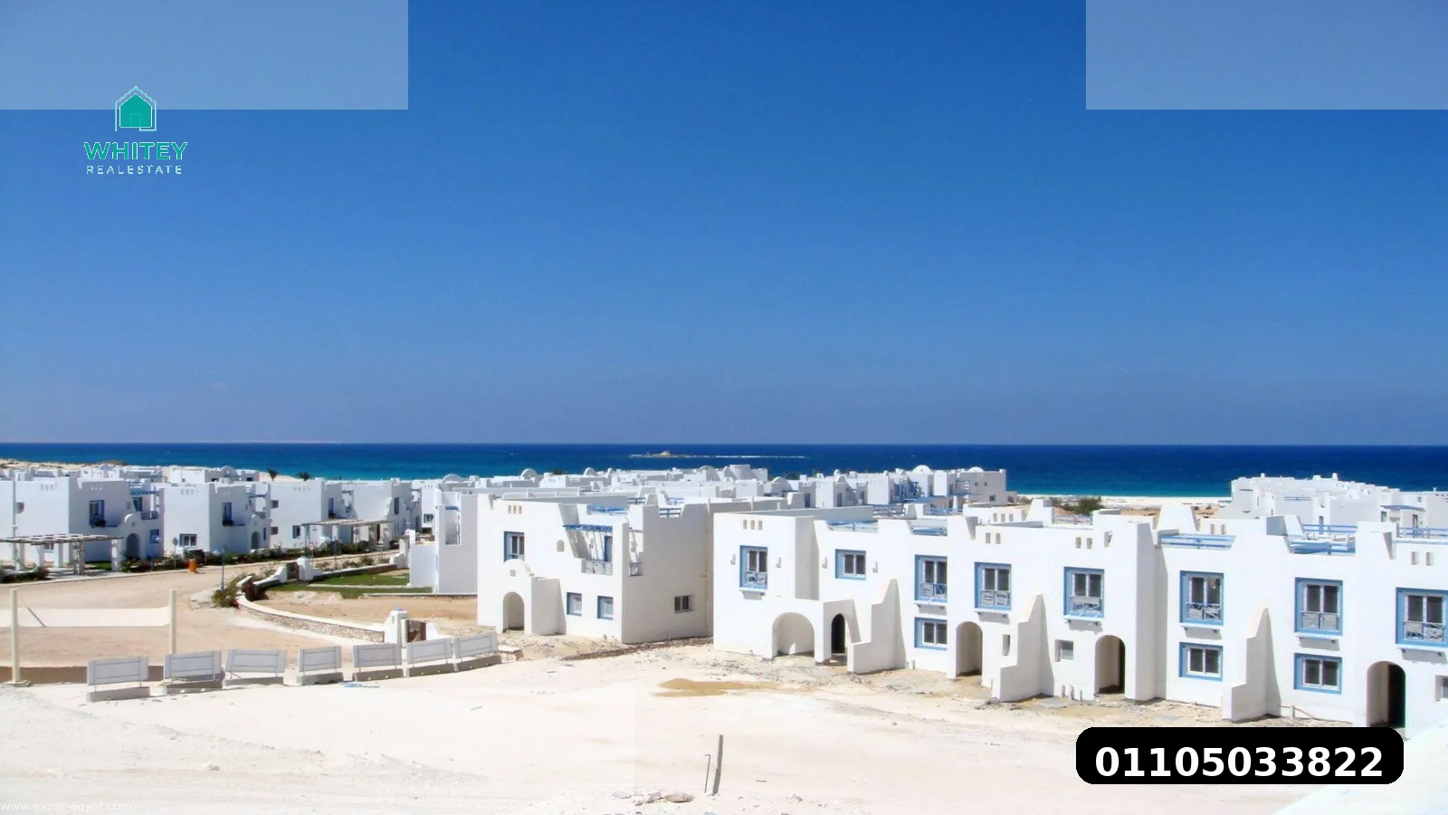 seashore_whitey_3