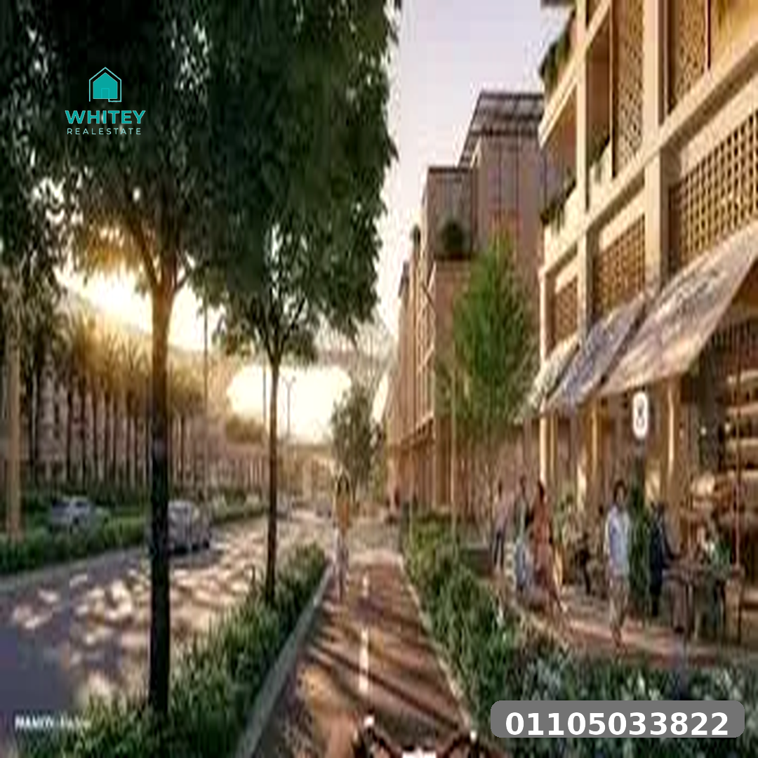 sumou_blvd_3
