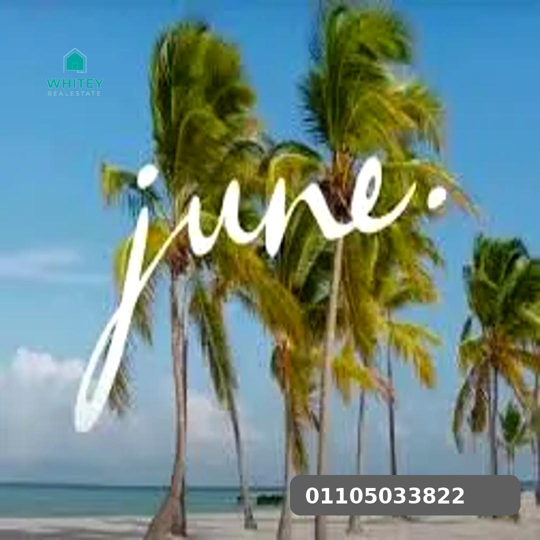 whitey_june_12