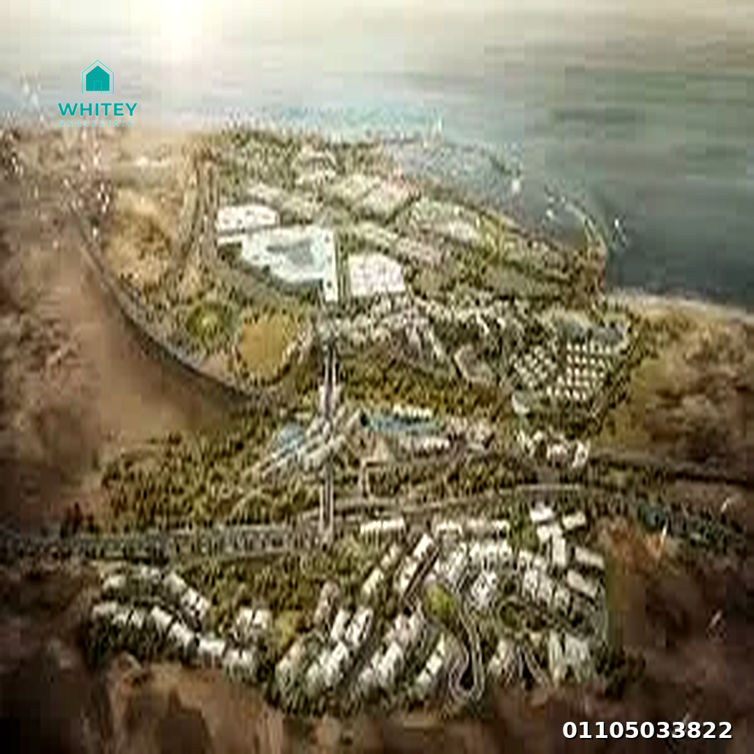 whitey_project_1