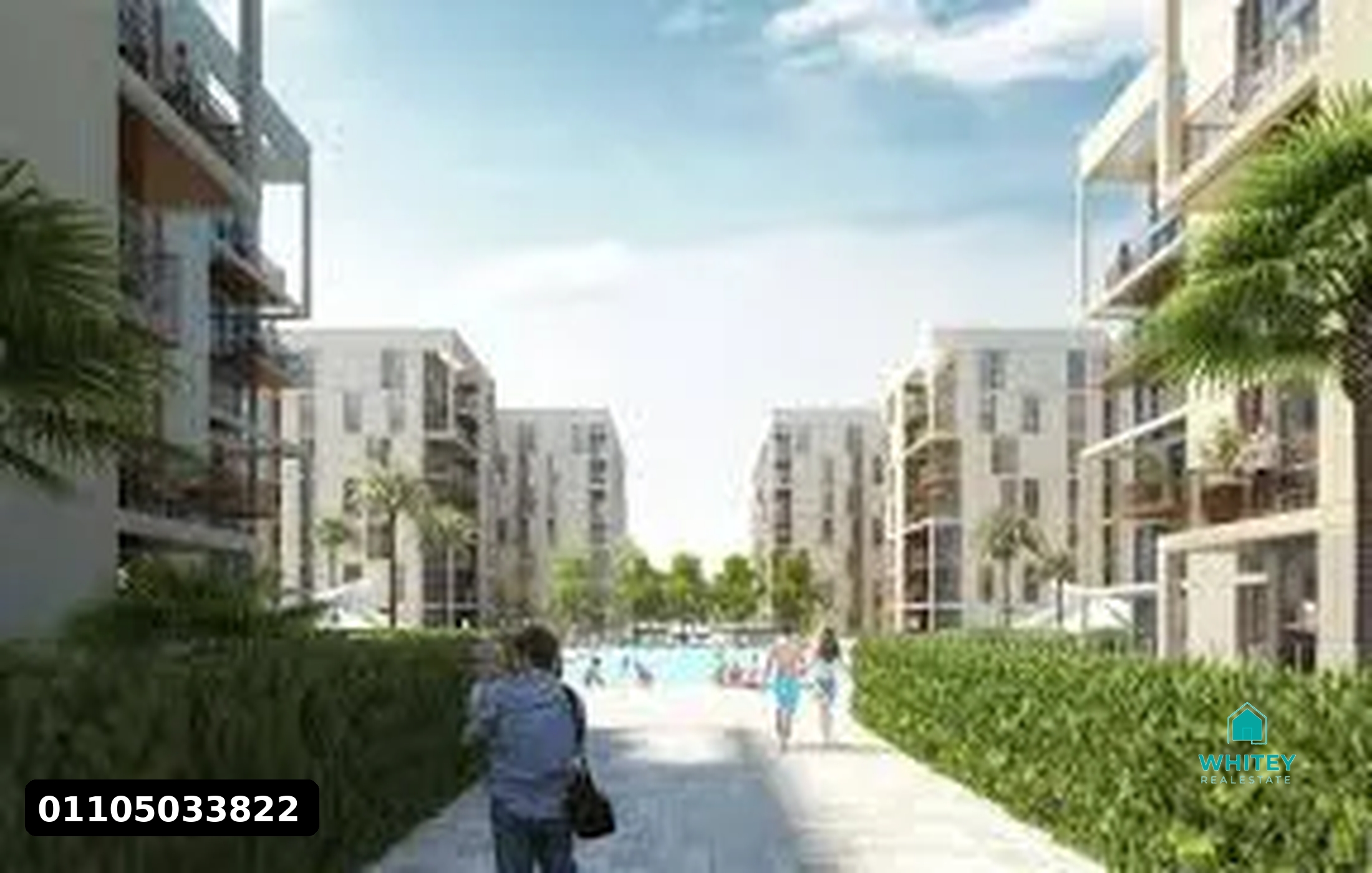 whitey_project_11