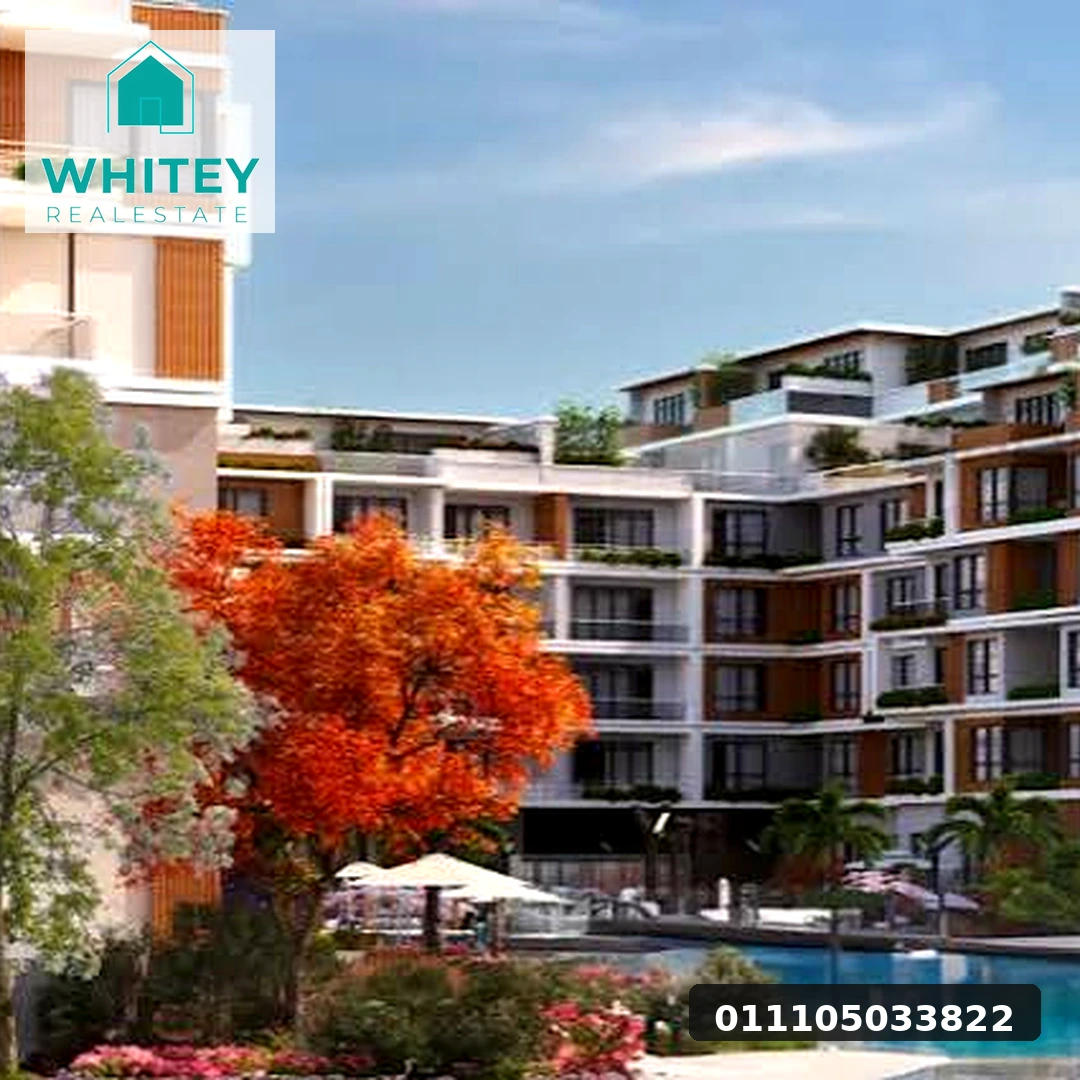 whitey_real_estate_02