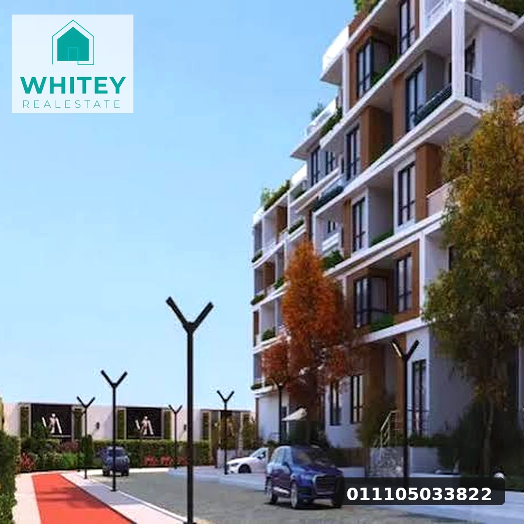whitey_real_estate_03