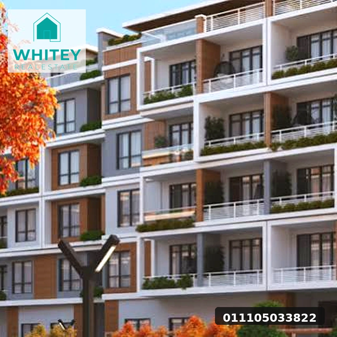 whitey_real_estate_04