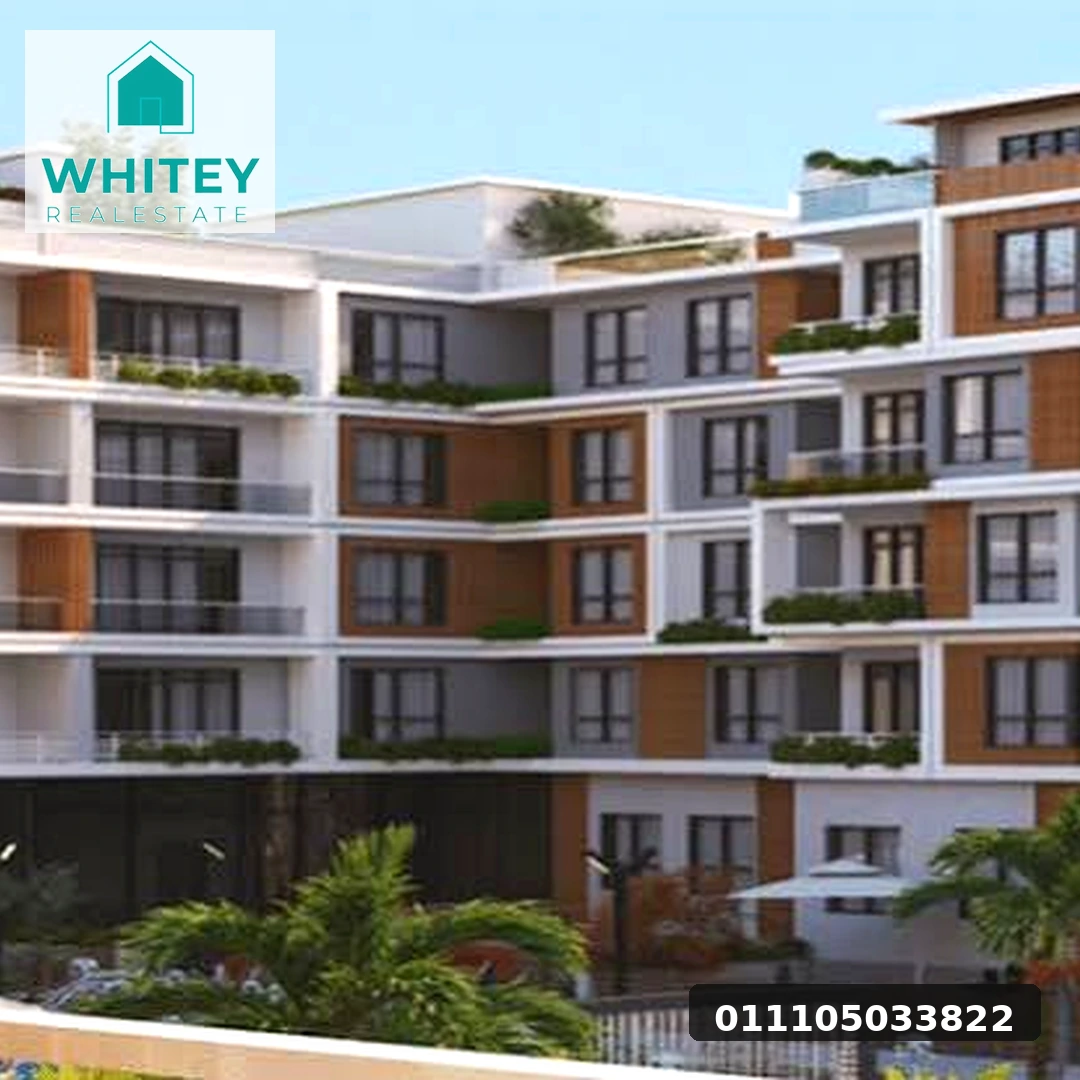 whitey_real_estate_05