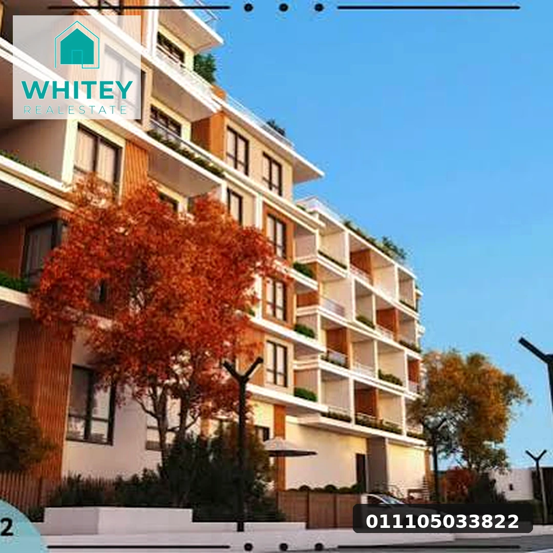 whitey_real_estate_06