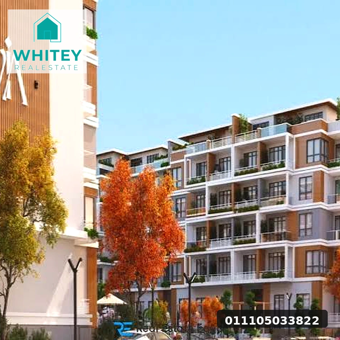 whitey_real_estate_09