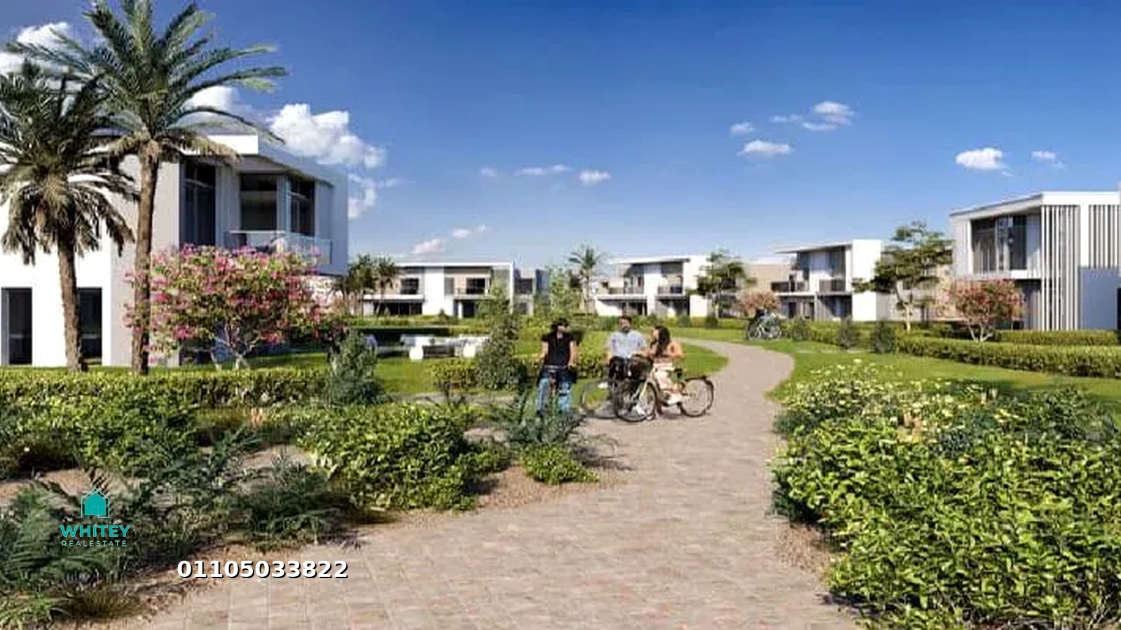 whitey_realestate_11